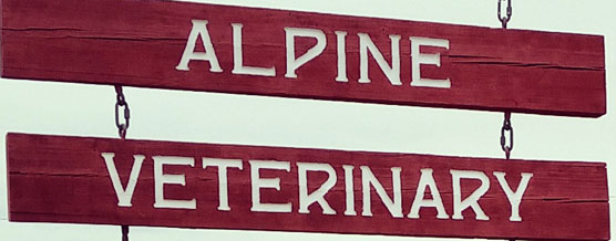 Alpine Vetrinary