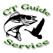 CT Guide Service